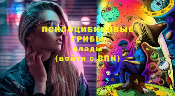круглые Абаза