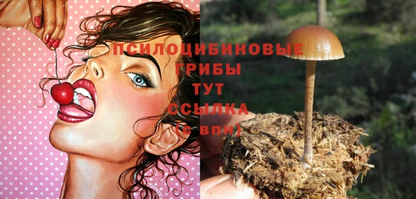 гидра Абинск
