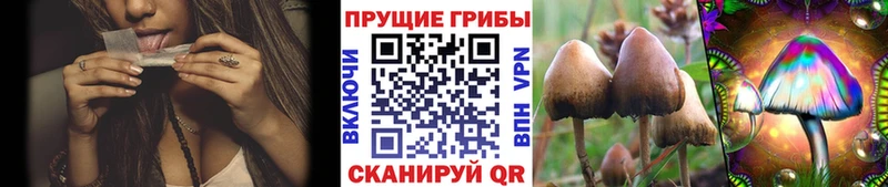 Галлюциногенные грибы GOLDEN TEACHER  мега как войти  darknet телеграм  закладка  Кочубеевское 