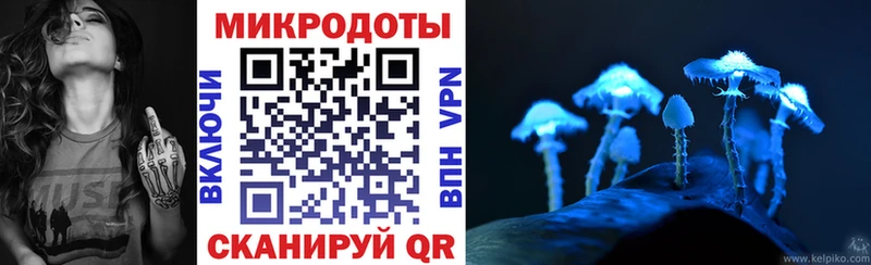 Псилоцибиновые грибы Psilocybine cubensis Кочубеевское